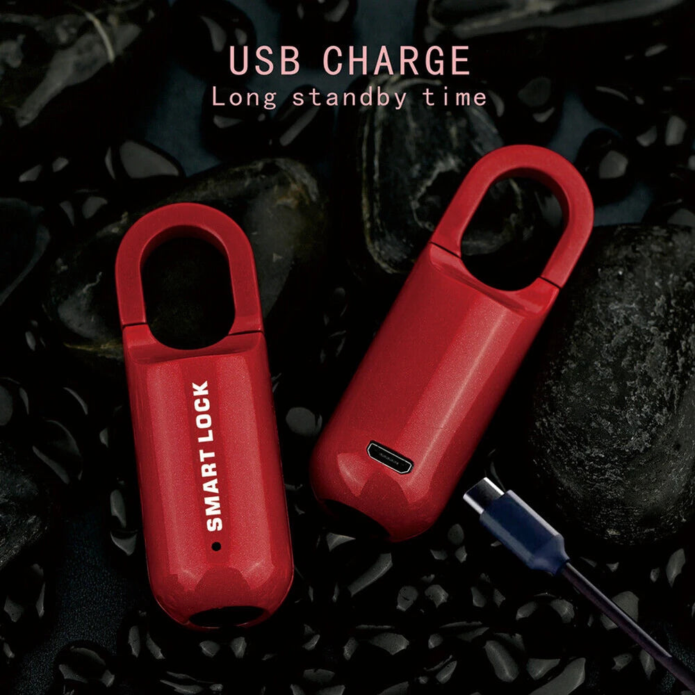 Mini cadenas à empreinte digitale avec recharge usb