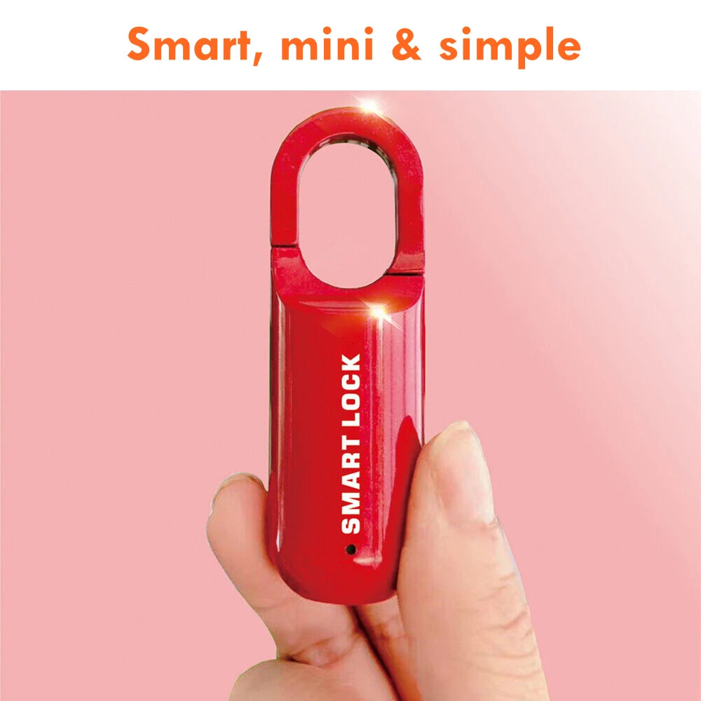 Mini cadenas à empreinte digitale avec recharge usb